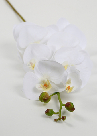 Künstliche Orchidee, Orchideenzweig